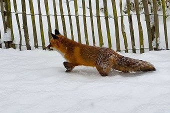 Engagiert für Hamburg